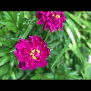 Meet your Posher, Kayleigh